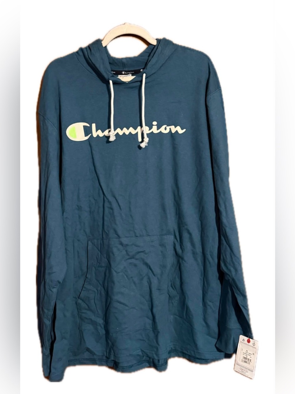 Champion Men's Teal Crewneck Hoodie with Script Logo